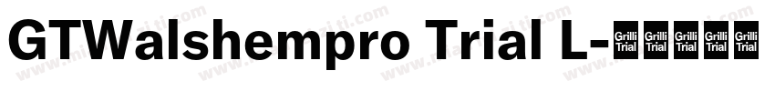 GTWalshempro Trial L字体转换